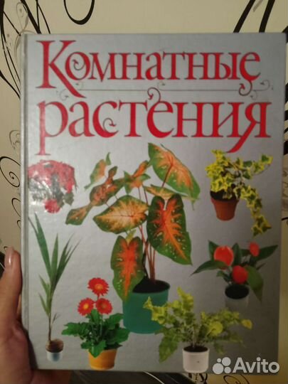 Комнатные растения