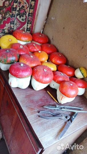 Тыква декоративная 