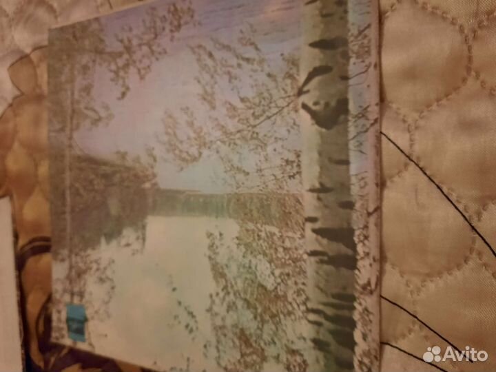 Виниловая пластинка Валентина Толкунова