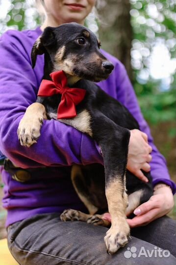 Спасите малыша