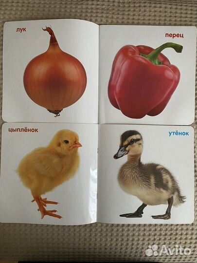 Книги для малышей от 0-3