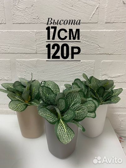 Искусственные растения (в ассортименте)