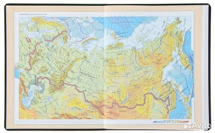 Дневник премиум