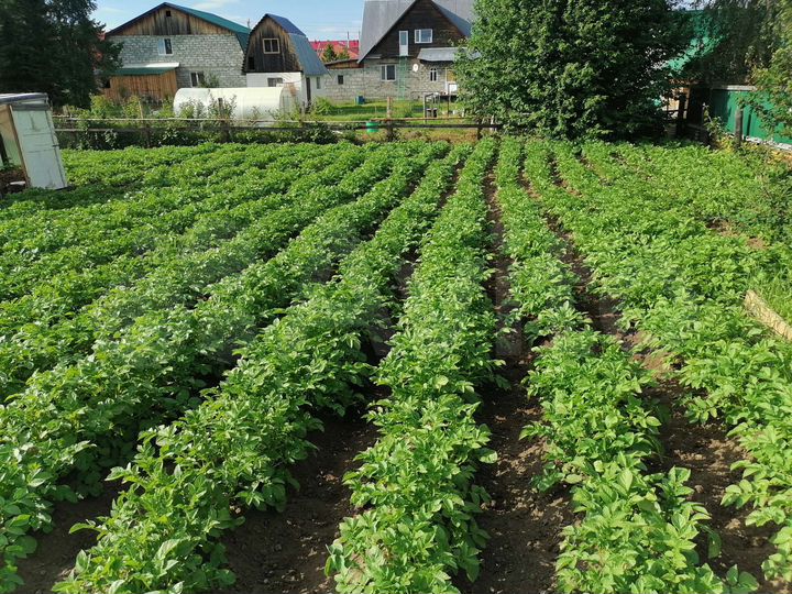 Дом 145 м² на участке 12,8 сот.