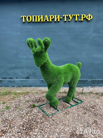 Топиари Топиарные фигуры Садовые фигуры