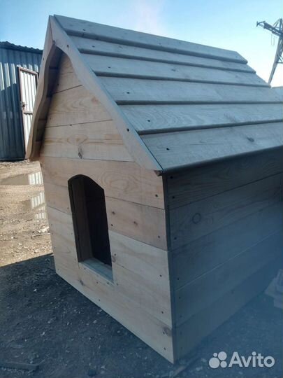 Собачья будка