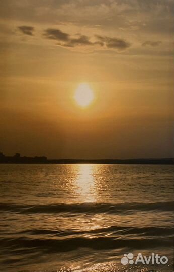 Картина природа фото