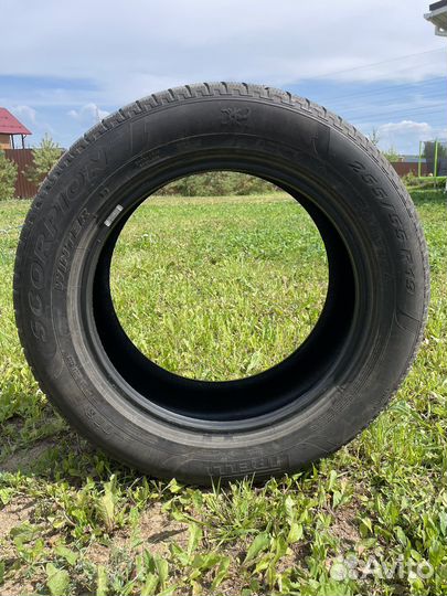 Pirelli Scorpion Winter 255/55 R19 111V