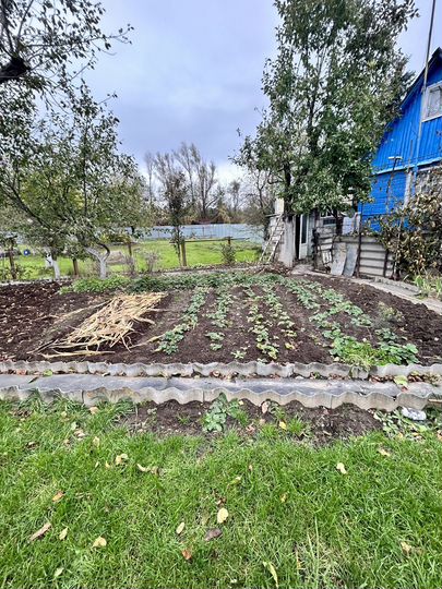 Дача 29,2 м² на участке 7,8 сот.