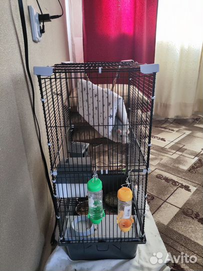 Большая клетка для крыс