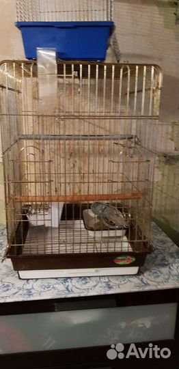 Клетка для больших птиц