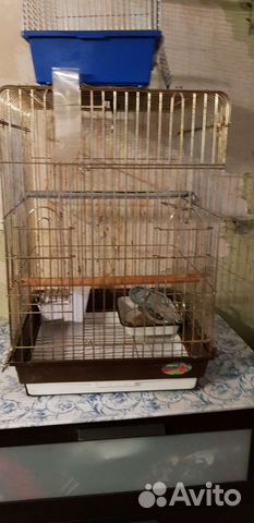 Клетка для больших птиц