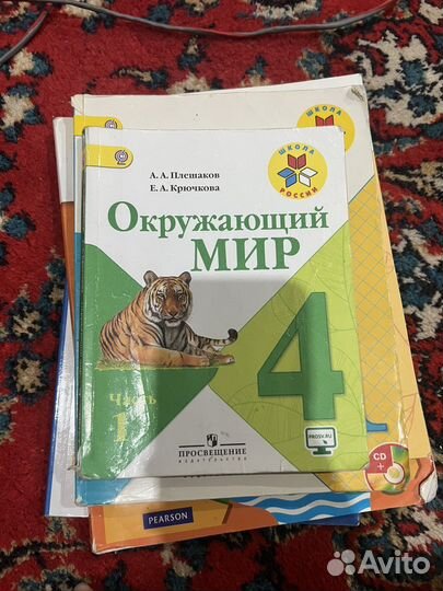 Окружающий мир 4 класс плешаков