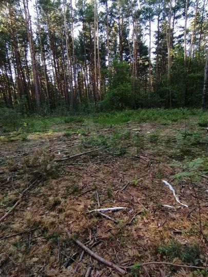 Участок 6,6 сот. (ИЖС)