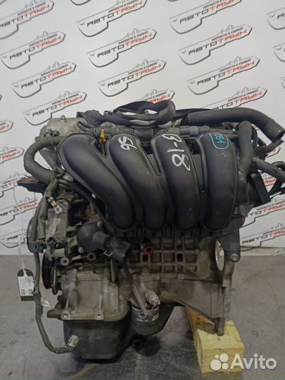 Двигатель toyota pontiac 1ZZ-FE. vista ardeo voltz will VS wish. ZZT251 ZZV50 ZZV50G ZZW30 впуск пла