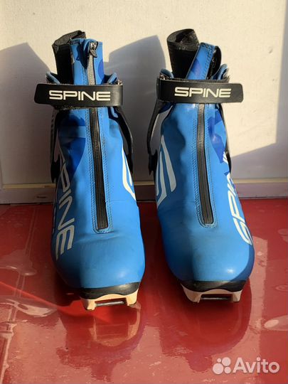 Ботинки лыжные Spine Carrera 43 eu