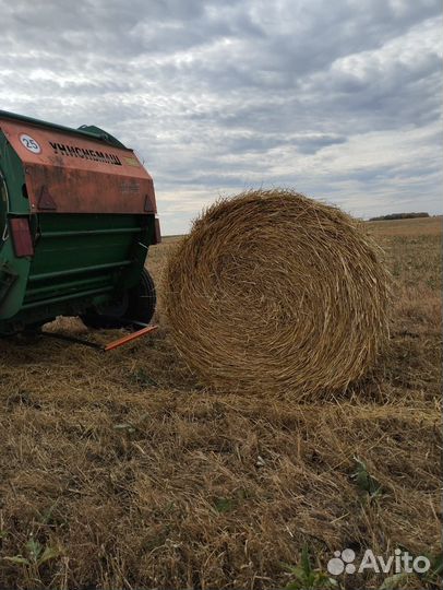 Продам солому