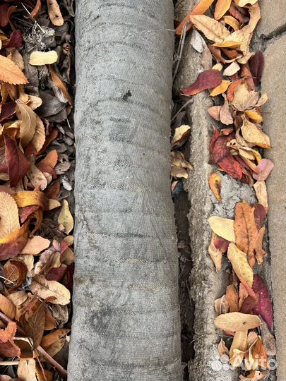 Труба гофрированная двухслойная 110