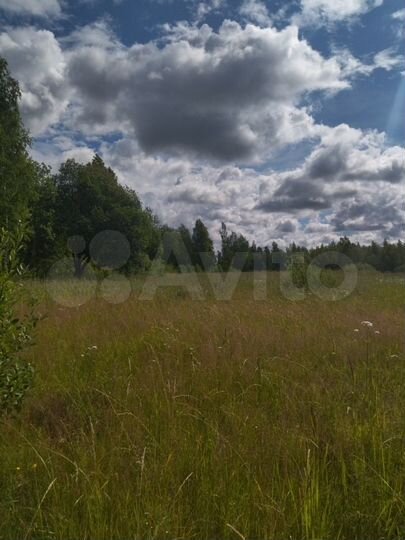 Участок 47,7 га (СНТ, ДНП)