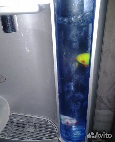 Куллер для воды