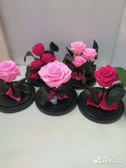 Роза в колбе