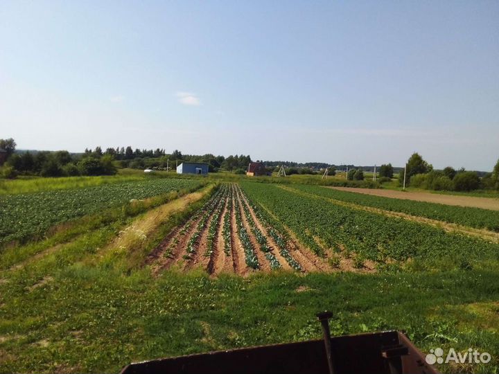 Овощи зелень соленья варенья