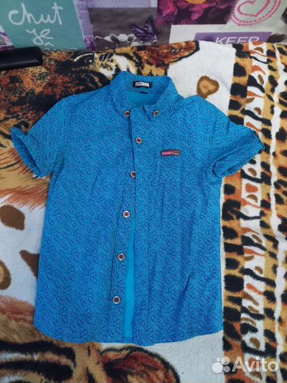 Рубашки для мальчика