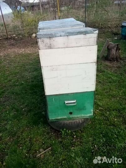 Продам ульи для пчел