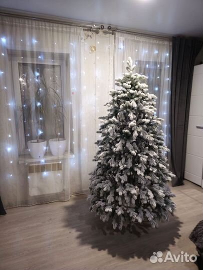 Ель Византия заснеженная