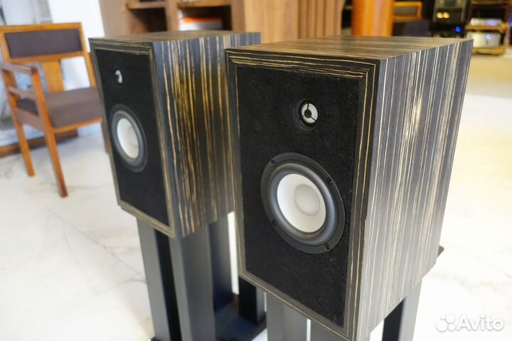 Aurora Audio Silver Monitor