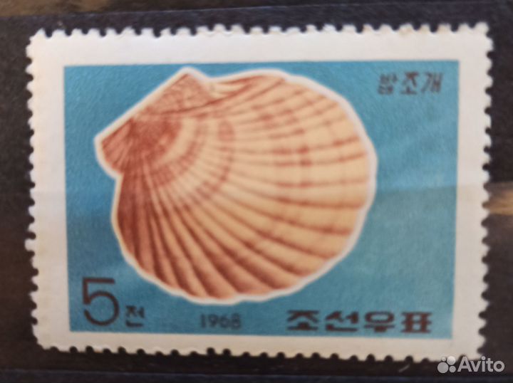 Марка Северная Корея 1968 год Ракушка