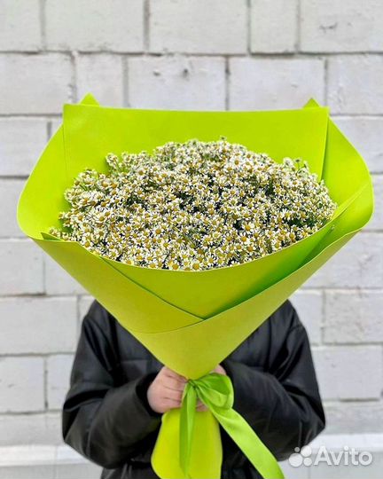 Букеты. Доставка ромашек