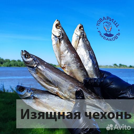 Астраханская вяленая рыба