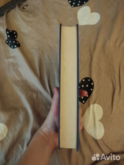 Книга «2:36 по Аляске» Анастасия Гор