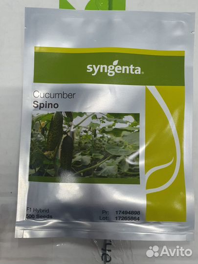 Семена огурец Спино 500с Сингента