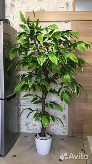 Дерево искусственное Манго 2 метра