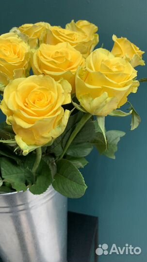 Цветы розы и букеты с доставкой 24 часа