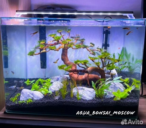 Аквариум Dophin под ключ