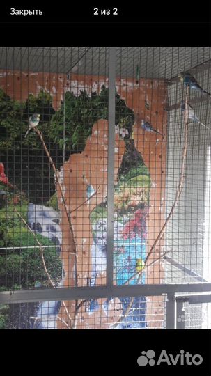 Вольер для птиц