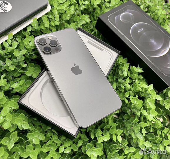 iPhone 12 Pro Graphite