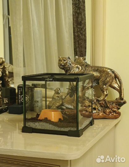 Продается аквариум(террариум)