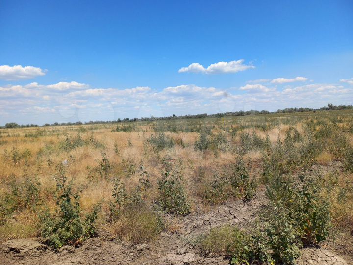 Участок 8 сот. (ИЖС)