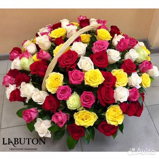 Букет 51 Роза Цветы Розы