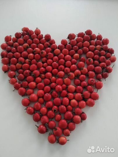 Боярышник ягоды