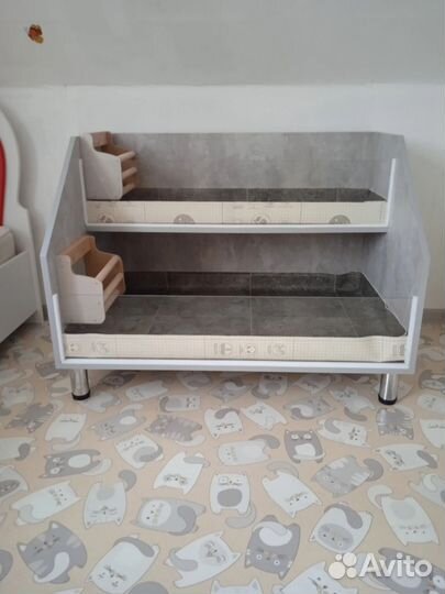 Морская свинка Английский Селф