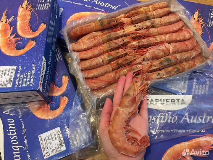 Рыба и Морепродукты