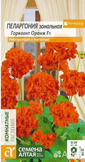 Пеларгония