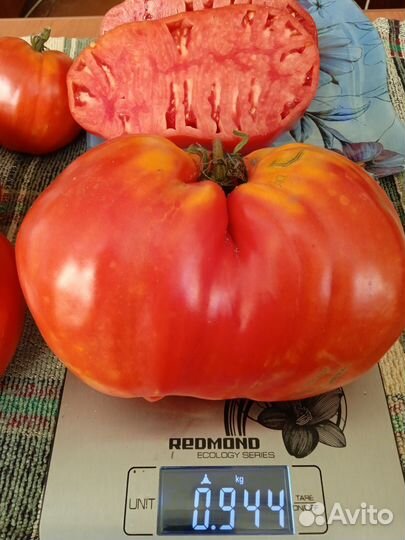 Томат Древнее сердце Акве Терме