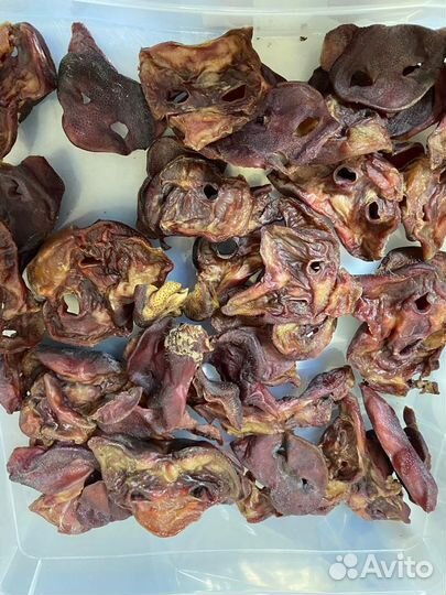 Лакомства для собак