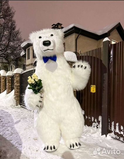 Белый мишка поздравление